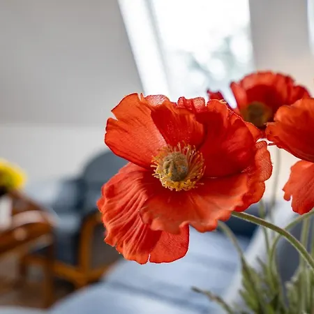 Lejlighed Uferpromenade Whg Og *